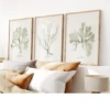 Set Of Three Green Seaweed Prints - Framed 1 Set Of Three Green Seaweed Prints - Framed -Beach House Art Set of Three Green Seaweed Prints Seaweed Wall Art