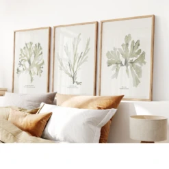 Set Of Three Green Seaweed Prints - Framed