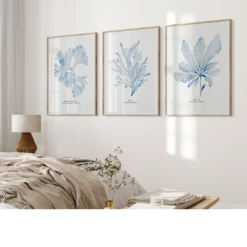Set Of Three Blue Seaweed Prints | Coastal Wall Art Set - Unframed