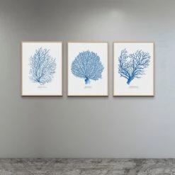 Coral Print | Marine Blue Coral Painting No 2 - Unframed -Beach House Art Threeframepaintingsofbluecoralinnaturalframessetonaconcretegreycolouredwall