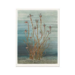 Vintage Marine Botanical - Unframed Print