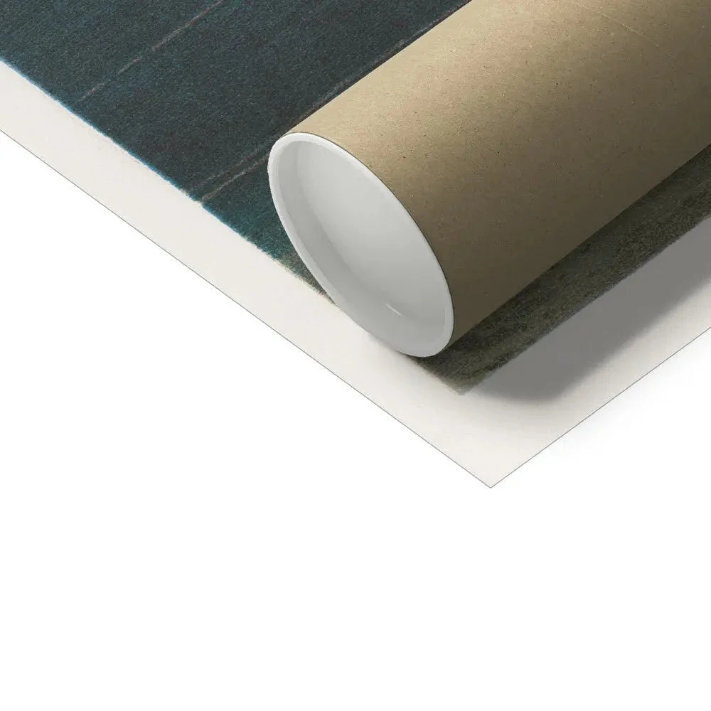 Vintage Marine Botanical - Unframed Print Vintage Marine Botanical - Unframed Print -Beach House Art Vintage Marine Botanical Unframed Print Wall Art Beach House Art 1650736685