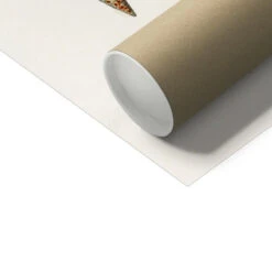 Vintage Molluscs Print 12 | Sea Life Wall Decor - Unframed -Beach House Art Vintage Molluscs Plate 12 Botanical Wall Print Fine Art Print Fine art Beach House Art 1676305680 c3f19a6f 48f0 492b b5b3 814d55729ea1