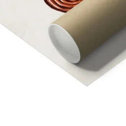 Vintage Molluscs Print 19 | Sea Life Wall Decor - Unframed 4 Vintage Molluscs Print 19 | Sea Life Wall Decor - Unframed -Beach House Art Vintage Molluscs Plate 19 Botanical Wall Print Fine Art Print Fine art Beach House Art 1676305362 8e3d6234 ae9f 41cc 948d 428cbc9b4944