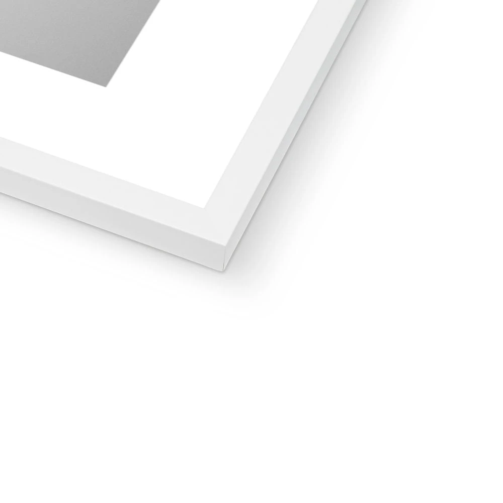 Set of Three Coral Art Prints | Set of Coral Paintings - Framed Set Of Three Coral Art Prints | Set Of Coral Paintings - Framed -Beach House Art a37acb39 de5b 4bc6 a76e 66a31c69e16e bc86f347 b671 45a1 a650 d68ac9cb341c 1