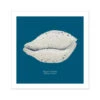 Hand-painted Cowrie Shell Art Print | Marine Blue Background - Unframed 2 Hand-painted Cowrie Shell Art Print | Marine Blue Background - Unframed -Beach House Art a4ddbb31 a46e 4ec1 9d54 048c344f806e