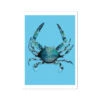 Crab Art Print | Colourful Kitchen Wall Art | Crab Painting On Blue - Unframed