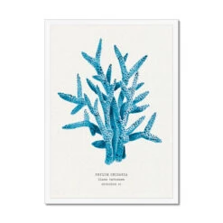 Coral Wall Art | Sea Blue Coral Painting | Specimen 6 - Framed 7 Coral Wall Art | Sea Blue Coral Painting | Specimen 6 - Framed -Beach House Art ba7c7007 ae3e 4c02 affe 15c1f587dddf