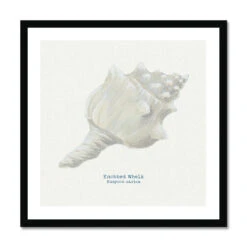 Hand-painted Whelk Shell Art Print | Natural Background - Framed 5 Hand-painted Whelk Shell Art Print | Natural Background - Framed -Beach House Art bd0f0dc3 ccf9 4228 9efc 3f9ab8164f0f