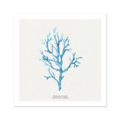 Coral Wall Art | Vermillion Coral Painting - Unframed