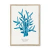 Coral Wall Art | Sea Blue Coral Painting | Specimen 6 - Framed 1 Coral Wall Art | Sea Blue Coral Painting | Specimen 6 - Framed -Beach House Art c03a625d 6cd0 429f aaa0 56ddc2ed5d70