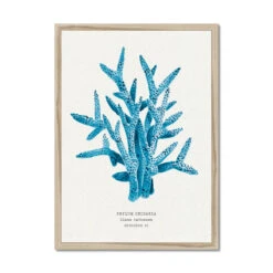 Coral Wall Art | Sea Blue Coral Painting | Specimen 6 - Framed