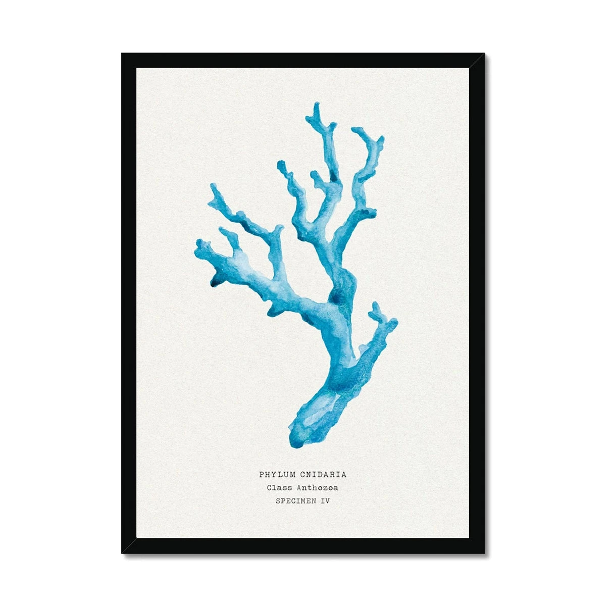 Coral Wall Art | Sea Blue Coral Painting | Specimen 4 - Framed Coral Wall Art | Sea Blue Coral Painting | Specimen 4 - Framed -Beach House Art c987924c 05fa 4d64 9071 ea544dc76194