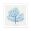 Coral Art | Fan Coral Painting - Unframed -Beach House Art d01ab687 ae42 4dbd b0ca 56c5465e0323