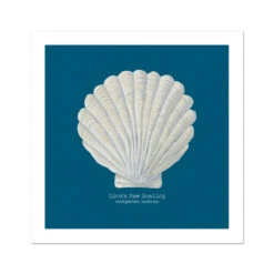 Hand-painted Scallop Shell Art Print | Marine Blue Background - Unframed