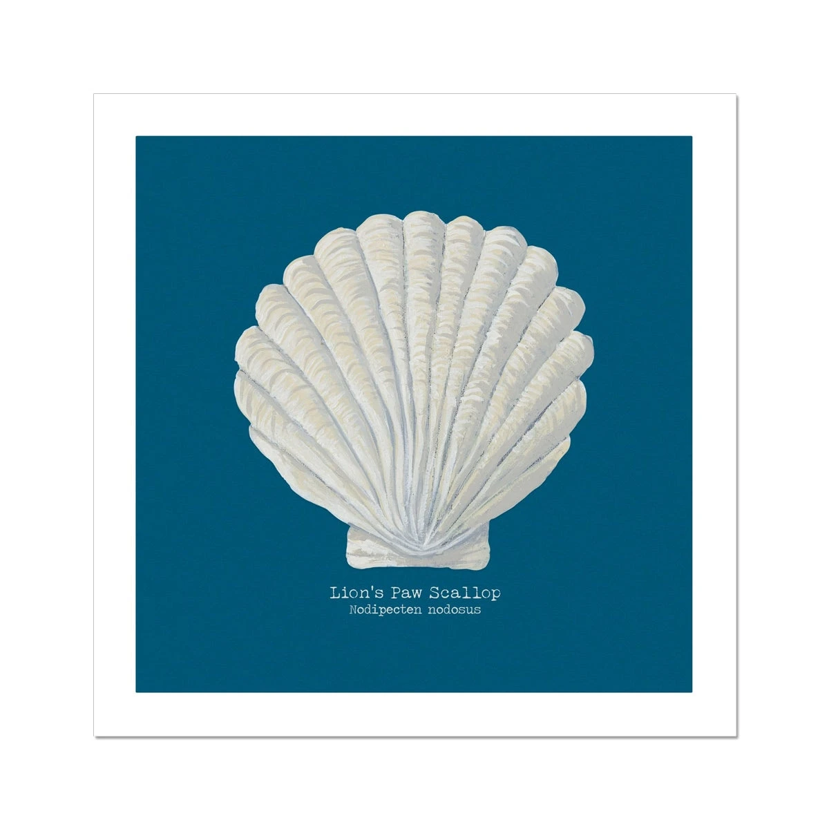Hand-painted Scallop Shell Art Print | Marine Blue Background - Unframed Hand-painted Scallop Shell Art Print | Marine Blue Background - Unframed -Beach House Art d8b7d09b b71b 4f8c a02f 06bd457bd5a2