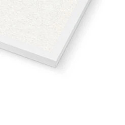 Green Seaweed Art Print | Botanical Watercolour Wall Decor | Stalked Leaf Bearer - Framed 10 Green Seaweed Art Print | Botanical Watercolour Wall Decor | Stalked Leaf Bearer - Framed -Beach House Art d91df0f8 d316 4bc1 a3ce f814d670b37a