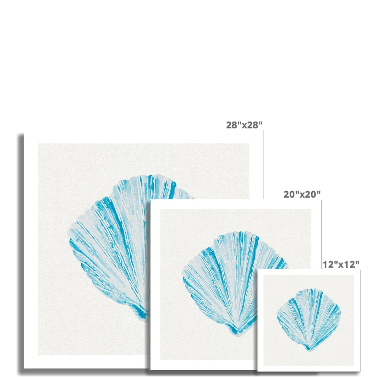 Aqua Watercolour Fan Shell Painting | Shell Wall Art - Unframed Aqua Watercolour Fan Shell Painting | Shell Wall Art - Unframed -Beach House Art df4e228e 5c07 42d3 910e 6286adda7656