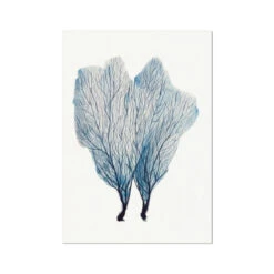 Sea Fan Watercolour Coral Painting | Coral Art | No 1 - Unframed