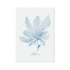 Blue Watercolour Seaweed Art Print | Sea Oak Seaweed Painting - Unframed -Beach House Art ea261e49 bcba 4505 85e3 740896070cd7