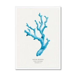 Coral Wall Art | Sea Blue Coral Painting | Specimen 4 - Framed 7 Coral Wall Art | Sea Blue Coral Painting | Specimen 4 - Framed -Beach House Art ef46aa2a 2a19 4682 a47a 739cec7e124a