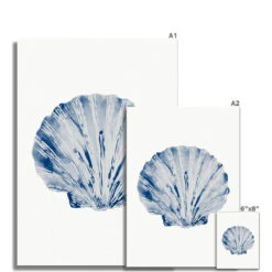 Watercolour Shell Art | Blue Scallop Shell Print - Unframed -Beach House Art f0945caf 0017 4764 9476 391edf3a72d6