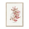 Siphoned Feather Weed No 1 Seaweed Print |Pressed Seaweed Art - Framed -Beach House Art f2bb93db a702 48d3 8109 f6abd008da0b