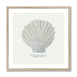 Hand-painted Scallop Shell Art Print | Natural Background - Framed