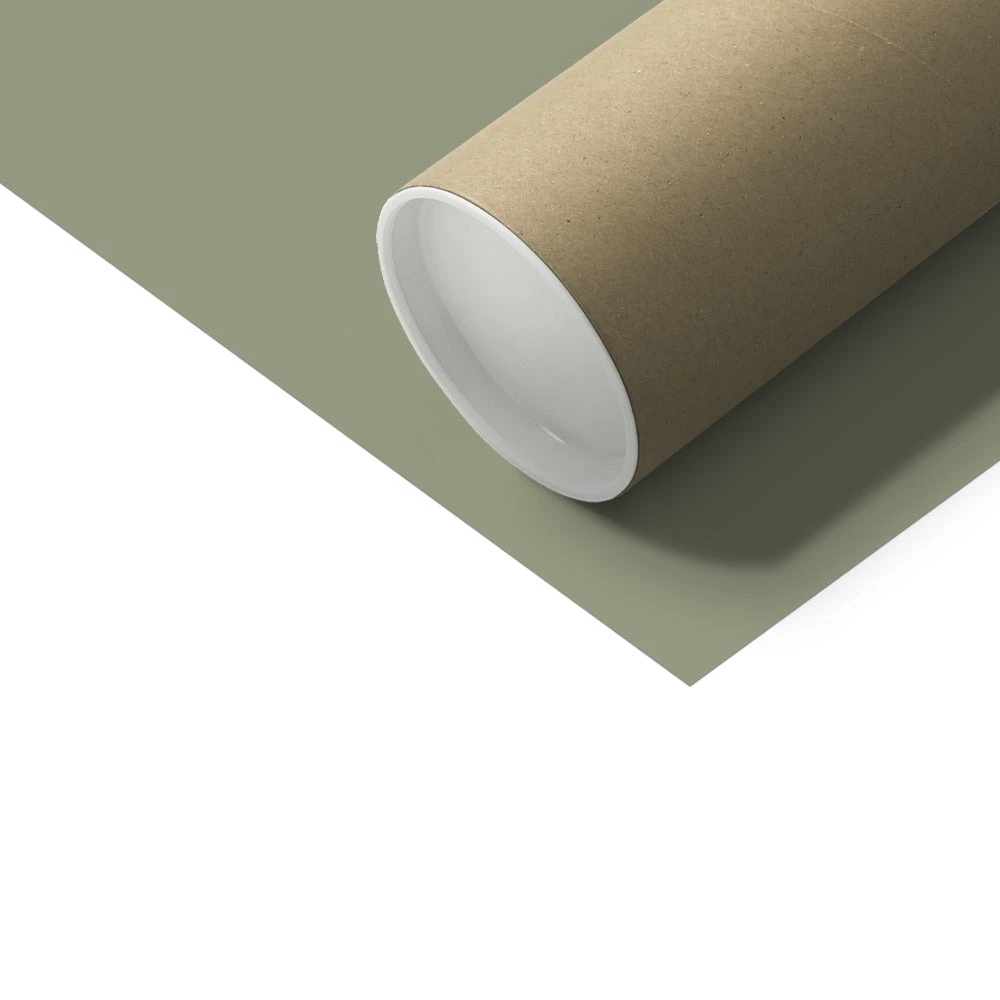 Olive Green Seaweed Art Print | Botanical Wall Decor | Papery Fan Weed - Unframed Olive Green Seaweed Art Print | Botanical Wall Decor | Papery Fan Weed - Unframed -Beach House Art f995fc9a f909 4060 92ce b0cd44987703