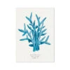 Coral Wall Art | Sea Blue Coral Painting | Specimen 6 - Unframed 1 Coral Wall Art | Sea Blue Coral Painting | Specimen 6 - Unframed -Beach House Art fba4d27c 9a38 4780 bd9f d230837fc472