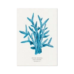 Coral Wall Art | Sea Blue Coral Painting | Specimen 6 - Unframed
