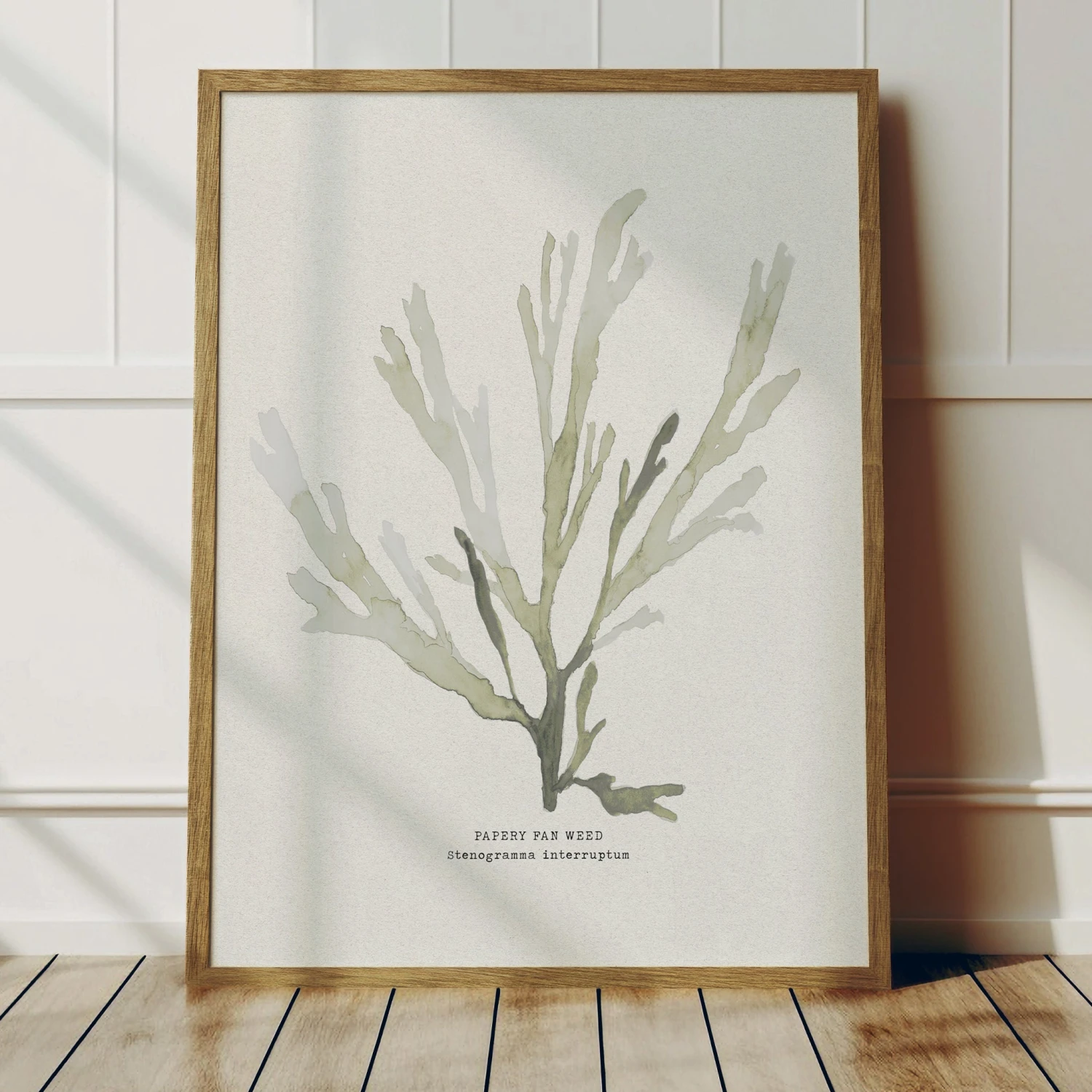 Set of Three Green Seaweed Prints - Framed Set Of Three Green Seaweed Prints - Framed -Beach House Art green PFW