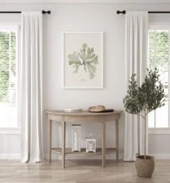 Set Of Three Green Seaweed Prints - Framed 9 Set Of Three Green Seaweed Prints - Framed -Beach House Art green sea oak oak