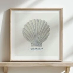 Beach House Art -Beach House Art scallop 148d7ad2 1add 452c 9995 ae59a833aab5 1