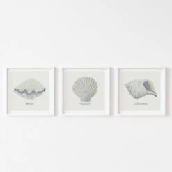 Hand-painted Clam Shell Art Print | Natural Background - Unframed -Beach House Art set 3 clam scallop ribbed 6062c419 3106 461e aa70 27299af1f548 2