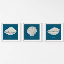 Hand-painted Cowrie Shell Art Print | Marine Blue Background - Unframed -Beach House Art set 3 cowrie scallop clam 640b51cc 42e4 4c2a b1ac bf45fae06511