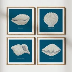Hand-painted Clam Shell Art Print | Marine Blue Background - Unframed 8 Hand-painted Clam Shell Art Print | Marine Blue Background - Unframed -Beach House Art set 4 marine 530cffa1 412a 4354 b515 971720d37db0 1