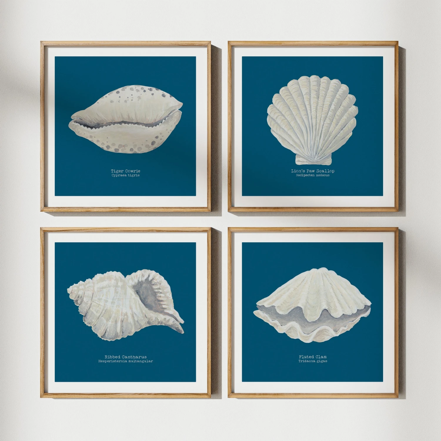 Hand-painted Clam Shell Art Print | Marine Blue Background - Unframed Hand-painted Clam Shell Art Print | Marine Blue Background - Unframed -Beach House Art set 4 marine 530cffa1 412a 4354 b515 971720d37db0 1