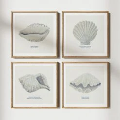 Hand-painted Scallop Shell Art Print | Natural Background - Framed -Beach House Art set of 4 natural 4