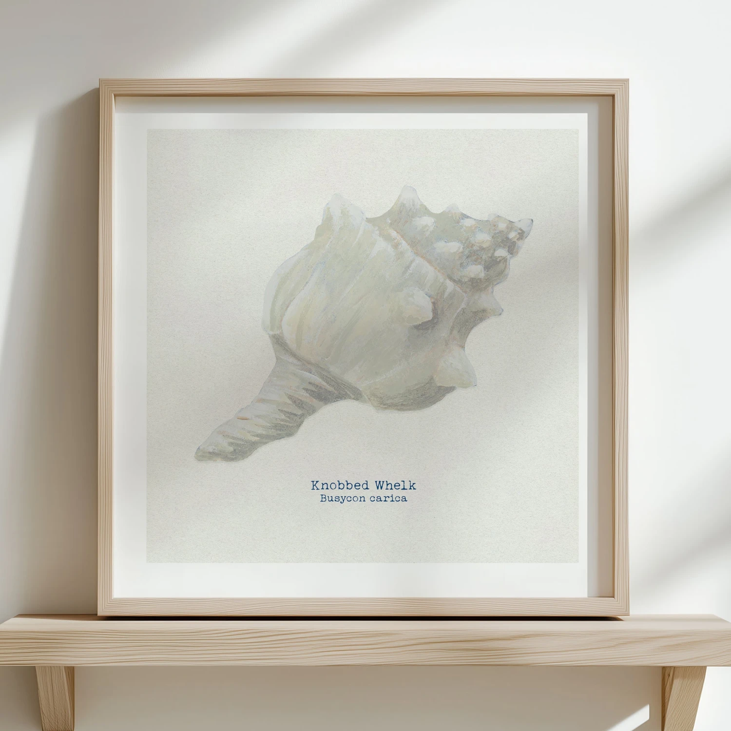 Hand-painted Whelk Shell Art Print | Natural Background - Framed Hand-painted Whelk Shell Art Print | Natural Background - Framed -Beach House Art whelk 8807b292 5264 4997 b48a c866409475c0 1